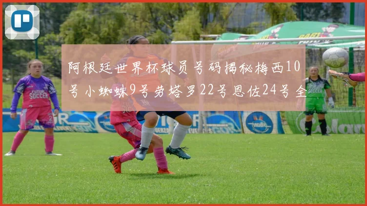 阿根廷世界杯球员号码揭秘梅西10号小蜘蛛9号劳塔罗22号恩佐24号全解析