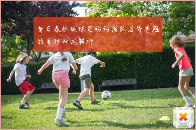 昔日森林狼球星纷纷离队后皆夺冠的奇妙命运解析